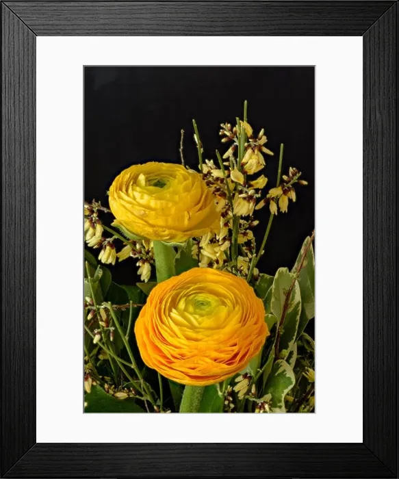 Framed Print : Fine art still life natural floral color close up of a flower bouquet with yellow Framed Print : Fine art still life natural floral color close up of a flower bouquet with yellow