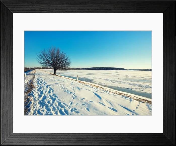 Framed Print : Single tree on a dam on a frozen lake Framed Print : Single tree on a dam on a frozen lake