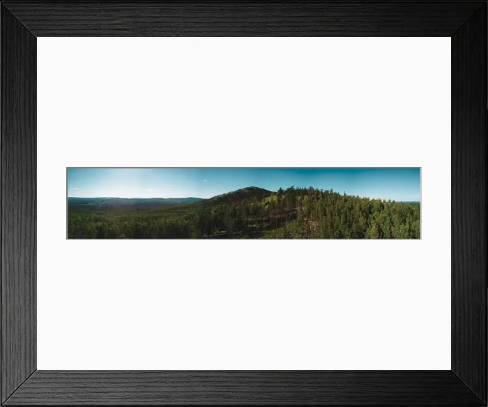 Framed Print : Aerial drone panoramic view of mountain peak with thin high tree trunks Framed Print : Aerial drone panoramic view of mountain peak with thin high tree trunks