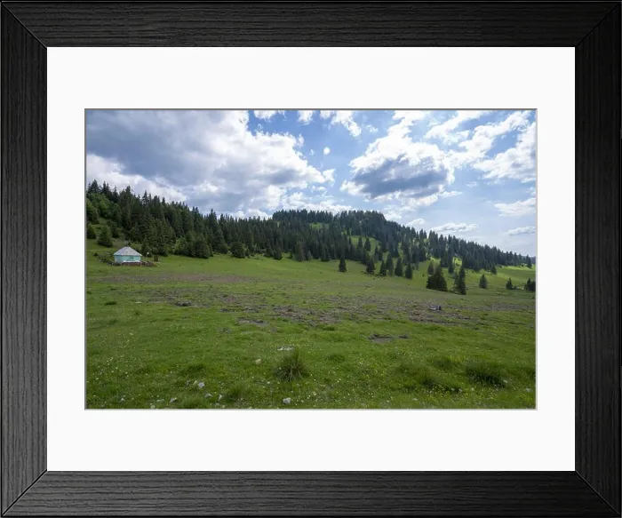 Framed Print : Mountain Apuseni Zona Padis Romania on the peak Framed Print : Mountain Apuseni Zona Padis Romania on the peak
