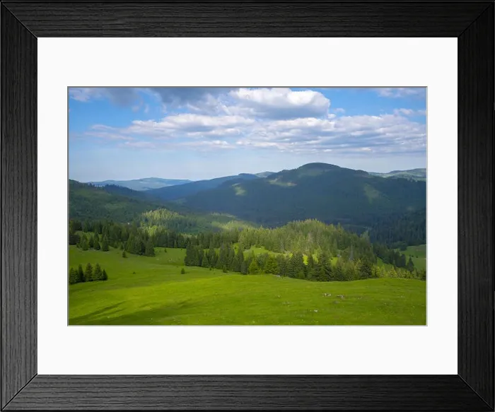Framed Print : Mountain Apuseni Zona Padis Romania on the peak Framed Print : Mountain Apuseni Zona Padis Romania on the peak