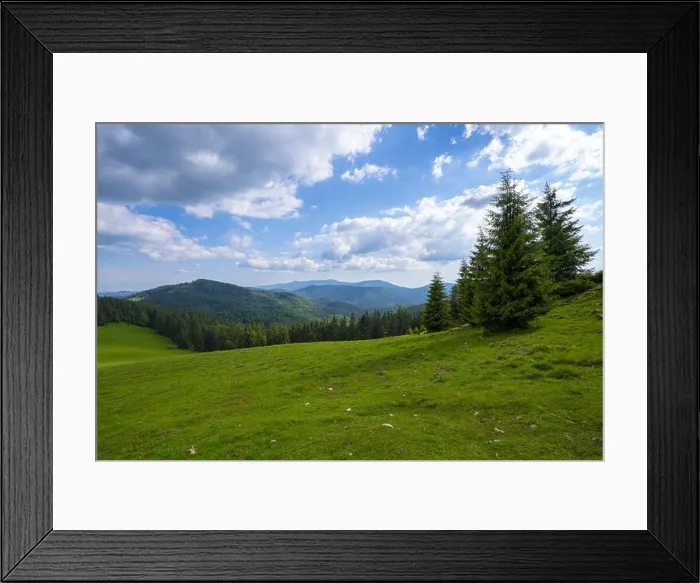 Framed Print : Mountain Apuseni Zona Padis Romania on the peak Framed Print : Mountain Apuseni Zona Padis Romania on the peak
