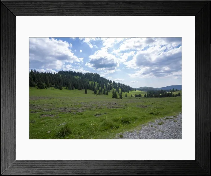 Framed Print : Mountain Apuseni Zona Padis Romania on the peak Framed Print : Mountain Apuseni Zona Padis Romania on the peak