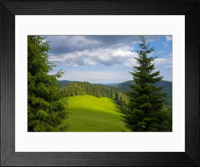 Framed Print : Mountain Apuseni Zona Padis Romania on the peak Framed Print : Mountain Apuseni Zona Padis Romania on the peak