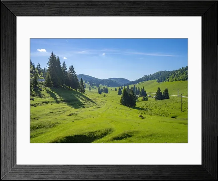 Framed Print : Mountain Apuseni Zona Padis Romania on the peak Framed Print : Mountain Apuseni Zona Padis Romania on the peak