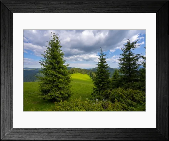 Framed Print : Mountain Apuseni Zona Padis Romania on the peak Framed Print : Mountain Apuseni Zona Padis Romania on the peak