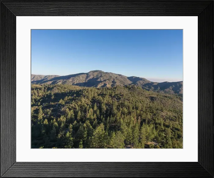 Framed Print : Tall pines cover the mountain tops in the Angeles National Forest of California Framed Print : Tall pines cover the mountain tops in the Angeles National Forest of California