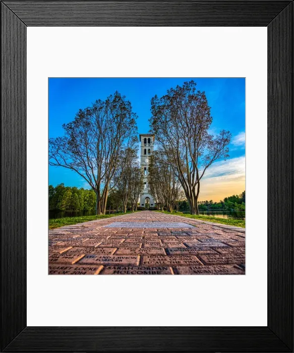 Framed Print : Swan Lake at Furman University near Greenville, South Carolina, USA Framed Print : Swan Lake at Furman University near Greenville, South Carolina, USA