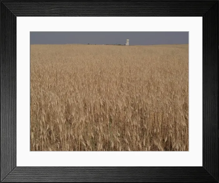 Framed Print : Abandoned, Patterson Orkney grain elevator, Orkney, Saskatchewan, Canada, Palliser Triangle, Brian Martin RMSF Framed Print : Abandoned, Patterson Orkney grain elevator, Orkney, Saskatchewan, Canada, Palliser Triangle, Brian Martin RMSF