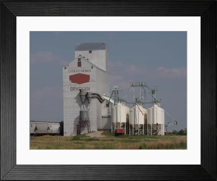 Framed Print : Seed cleaning, grain elevator, Bracken, Saskatchewan, Canada, Palliser Triangle, Brian Martin RMSF Framed Print : Seed cleaning, grain elevator, Bracken, Saskatchewan, Canada, Palliser Triangle, Brian Martin RMSF
