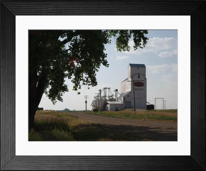 Framed Print : Seed cleaning, grain elevator, Bracken, Saskatchewan, Canada, Palliser Triangle, Brian Martin RMSF Framed Print : Seed cleaning, grain elevator, Bracken, Saskatchewan, Canada, Palliser Triangle, Brian Martin RMSF