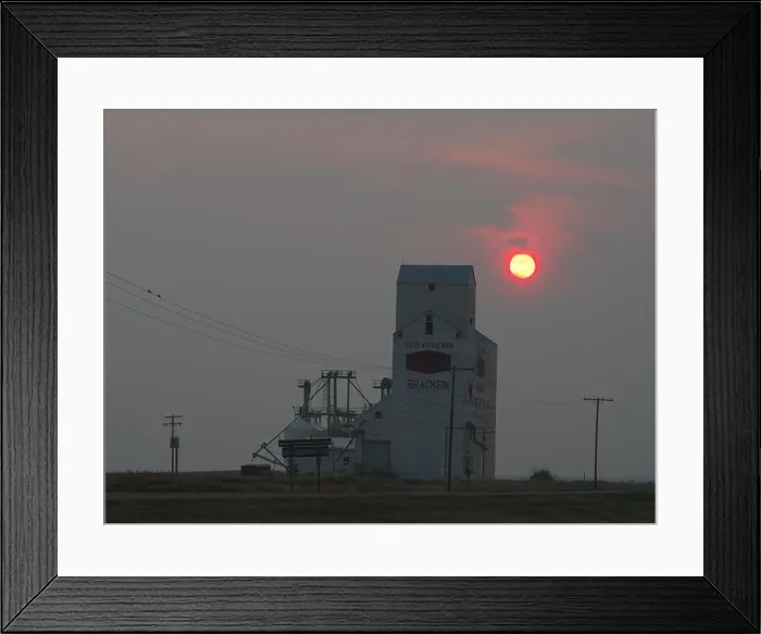 Framed Print : Seed cleaning, grain elevator, Bracken, Saskatchewan, Canada, Palliser Triangle, Brian Martin RMSF Framed Print : Seed cleaning, grain elevator, Bracken, Saskatchewan, Canada, Palliser Triangle, Brian Martin RMSF
