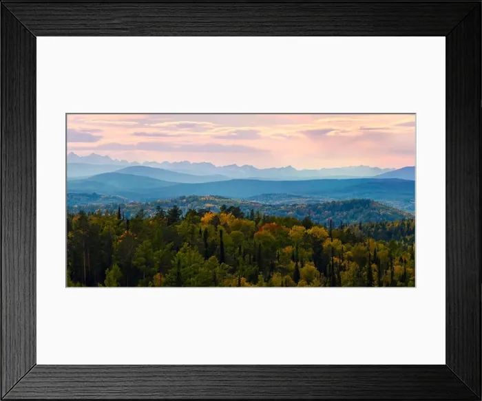 Framed Print : Wide angle panorama autumn forest, misty hills mountain tops in pink dawn Framed Print : Wide angle panorama autumn forest, misty hills mountain tops in pink dawn