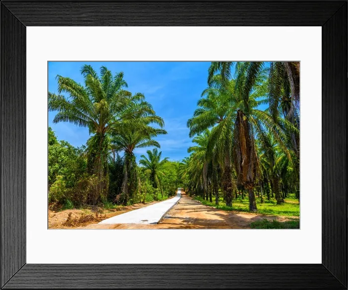Framed Print : Dusty road through palms plantation and jungle, Than Bok Khorani National Park, Krabi, Thailand Framed Print : Dusty road through palms plantation and jungle, Than Bok Khorani National Park, Krabi, Thailand