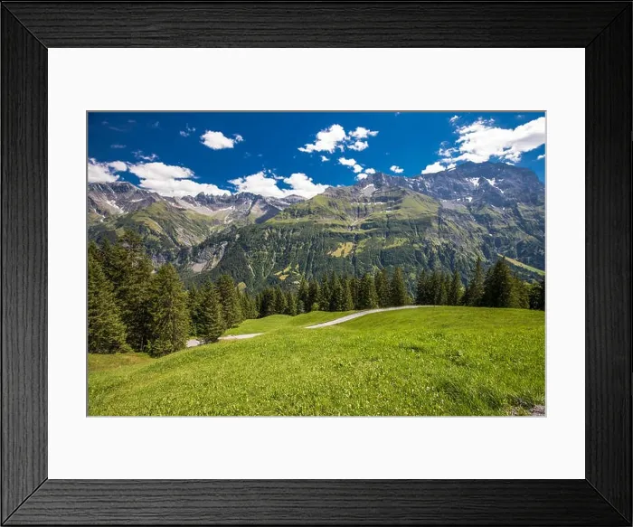 Framed Print : View of Swiss mountains - Piz Segnas, Piz Sardona, Laaxer Stockli from Ampachli, Glarus, Switzerland, Europe Framed Print : View of Swiss mountains - Piz Segnas, Piz Sardona, Laaxer Stockli from Ampachli, Glarus, Switzerland, Europe