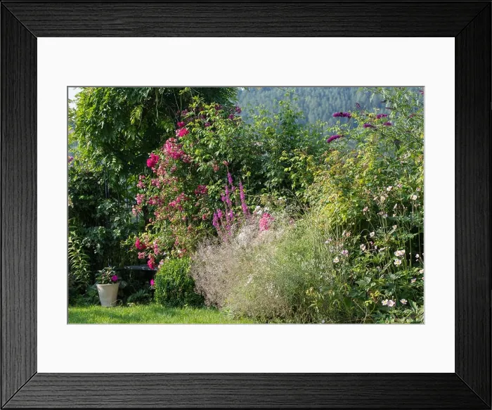Framed Print : Color outdoor nature image of a garden with a bench Framed Print : Color outdoor nature image of a garden with a bench