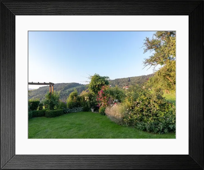 Framed Print : Color outdoor nature image of a garden with a bench Framed Print : Color outdoor nature image of a garden with a bench