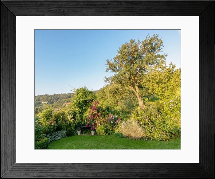 Framed Print : Color outdoor nature image of a garden with a bench Framed Print : Color outdoor nature image of a garden with a bench