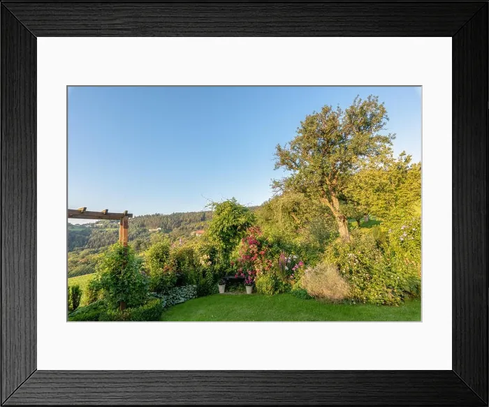 Framed Print : Color outdoor nature image of a garden with a bench Framed Print : Color outdoor nature image of a garden with a bench