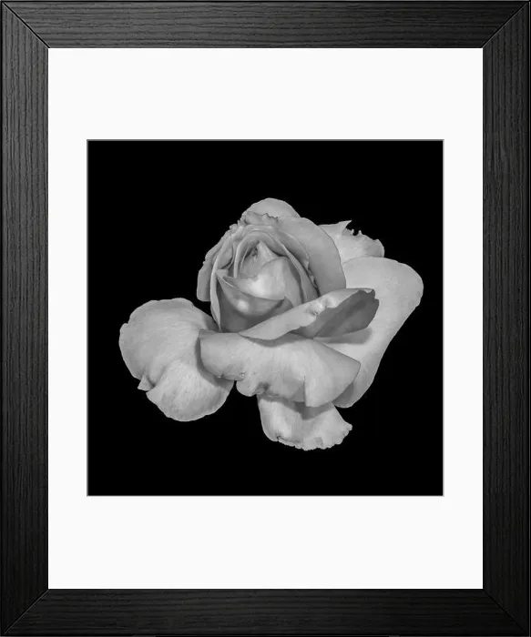 Framed Print : Monochrome black Framed Print : Monochrome black
