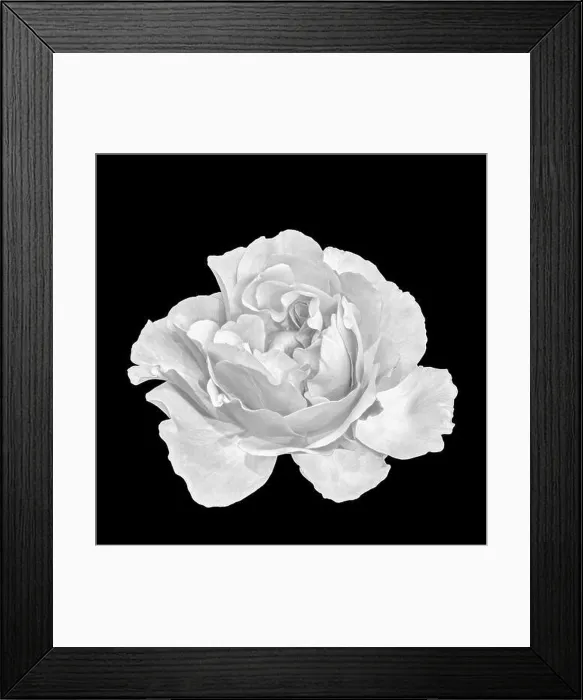 Framed Print : Monochrome black Framed Print : Monochrome black