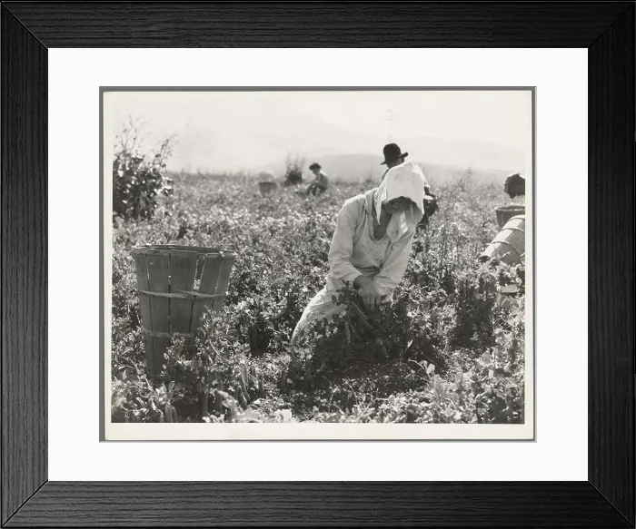 Framed Print : phot from the great depression in america around the 1930s Framed Print : phot from the great depression in america around the 1930s