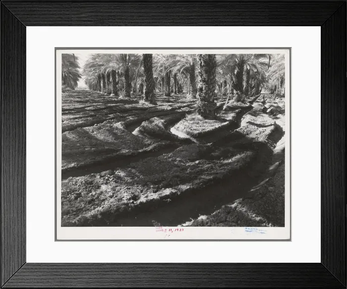 Framed Print : phot from the great depression in america around the 1930s Framed Print : phot from the great depression in america around the 1930s