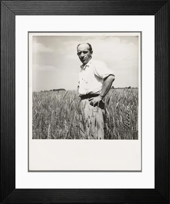 Framed Print : phot from the great depression in america around the 1930s Framed Print : phot from the great depression in america around the 1930s