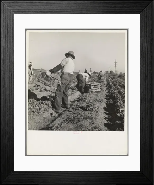 Framed Print : phot from the great depression in america around the 1930s Framed Print : phot from the great depression in america around the 1930s
