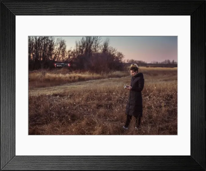 Framed Print : Female drone pilot looks at her remote controller while operating in a field during autumn at dusk
