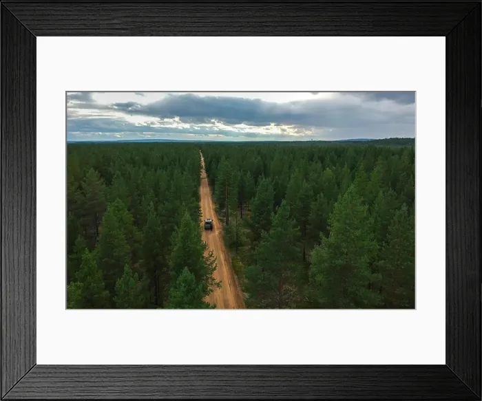 Framed Print : Aerial view of car driving through pine forest Framed Print : Aerial view of car driving through pine forest