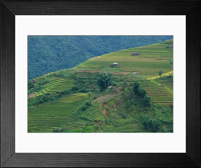 Framed Print : Aerial view of Vietnam landscape Framed Print : Aerial view of Vietnam landscape