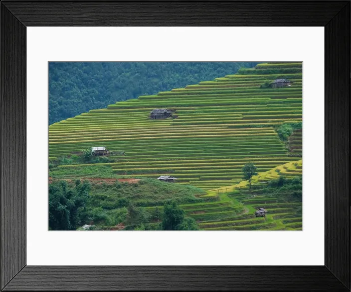 Framed Print : Aerial view above of Vietnam landscapes with terraces rice field. Rice fields on terraced of Mu Cang Chai, YenBai