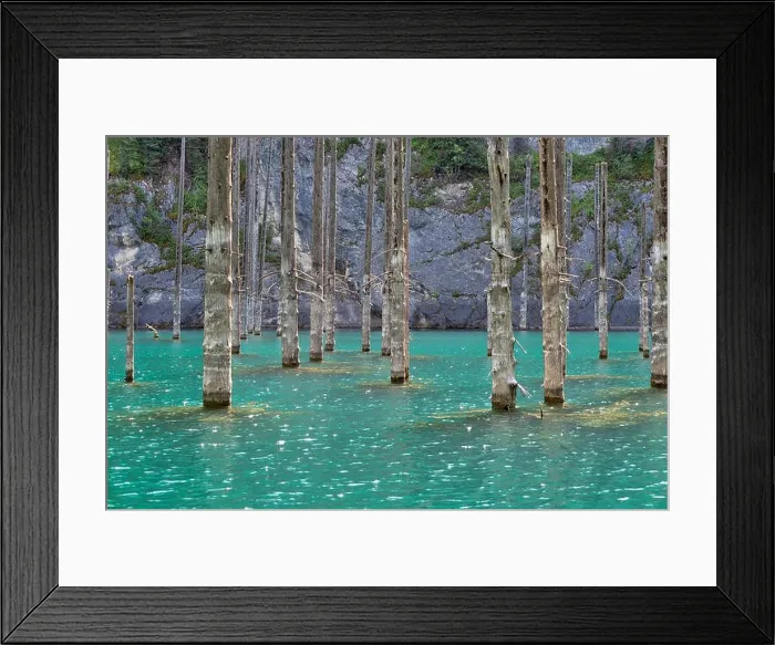 Framed Print : Kaindy Lake in South East Kazakhstan, taken in August 2018 taken in hdr Framed Print : Kaindy Lake in South East Kazakhstan, taken in August 2018 taken in hdr