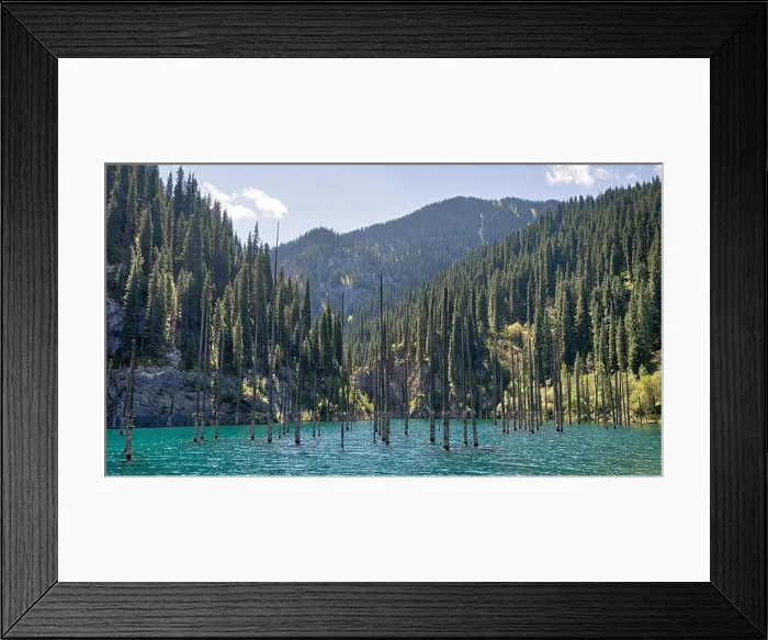 Framed Print : Kaindy Lake in South East Kazakhstan, taken in August 2018 taken in hdr Framed Print : Kaindy Lake in South East Kazakhstan, taken in August 2018 taken in hdr