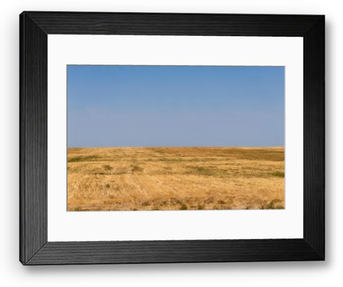 Framed Print : Dry Field in Southern Kazakhstan taken in August 2018 taken in hdr Framed Print : Dry Field in Southern Kazakhstan taken in August 2018 taken in hdr