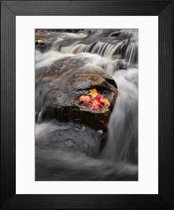 Framed Print : Acadia National Park Framed Print : Acadia National Park