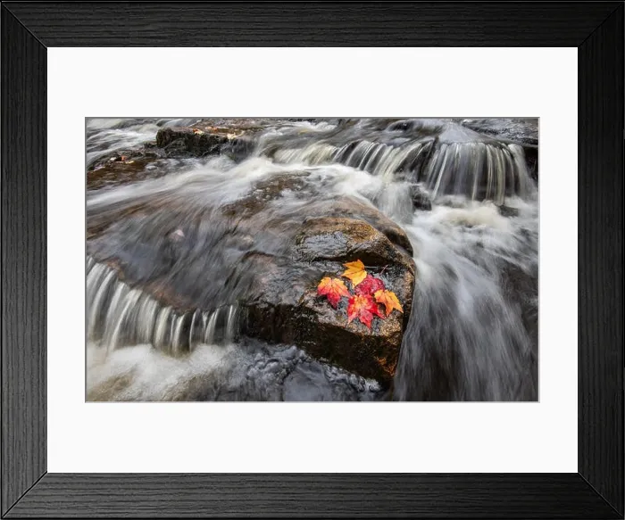 Framed Print : Acadia National Park Framed Print : Acadia National Park