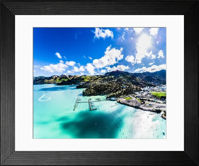 Framed Print : Lyttelton Marina NewZealand Framed Print : Lyttelton Marina NewZealand