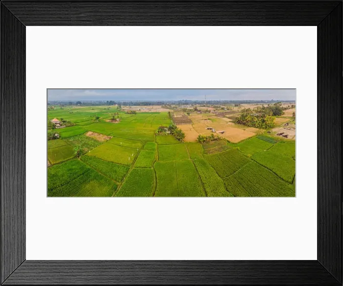 Framed Print : Aerial top view photo from flying drone of green rice fields in countryside Land with grown plants of paddy Framed Print : Aerial top view photo from flying drone of green rice fields in countryside Land with grown plants of paddy