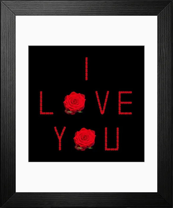 Framed Print : Fine art still life color image of the sentence Framed Print : Fine art still life color image of the sentence