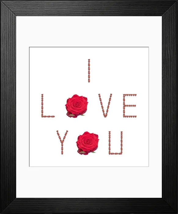 Framed Print : Fine art still life color image of the sentence Framed Print : Fine art still life color image of the sentence