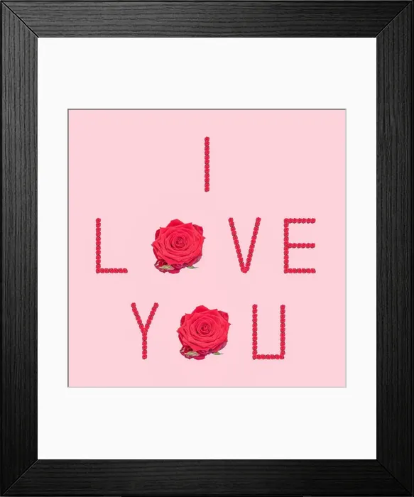 Framed Print : Fine art still life color image of the sentence Framed Print : Fine art still life color image of the sentence