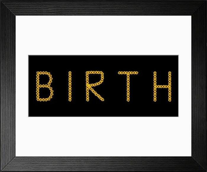 Framed Print : Fine art still life color image of the word birth constructed from floral / flower letter made of sunflower blossom Framed Print : Fine art still life color image of the word birth constructed from floral / flower letter made of sunflower blossom