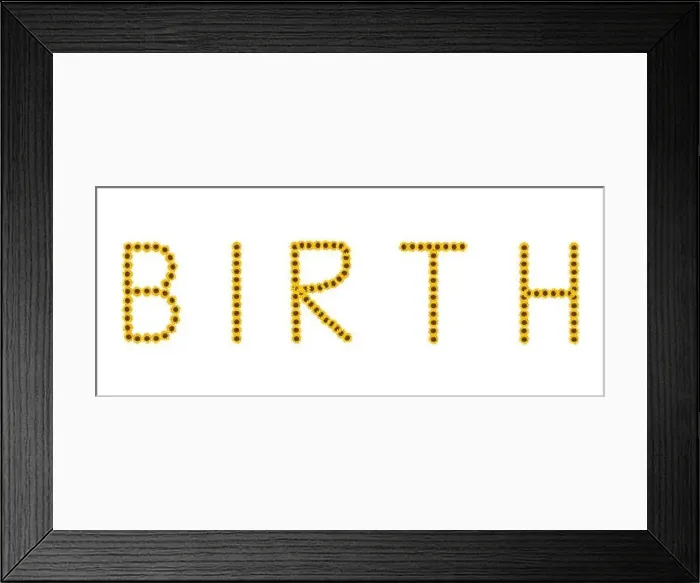 Framed Print : Fine art still life color image of the word birth constructed from floral / flower letter made of sunflower blossom