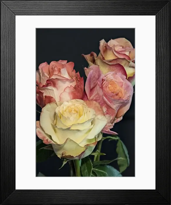 Framed Print : Pastell colored still life floral macro flower portrait of a bouquet of red Framed Print : Pastell colored still life floral macro flower portrait of a bouquet of red