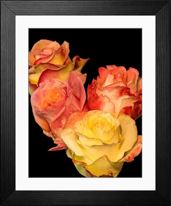Framed Print : Vibrant still life floral macro flower portrait of a bouquet of colorful red Framed Print : Vibrant still life floral macro flower portrait of a bouquet of colorful red