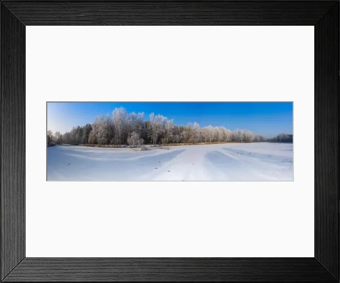 Framed Print : Rime and hoarfrost covering trees Framed Print : Rime and hoarfrost covering trees