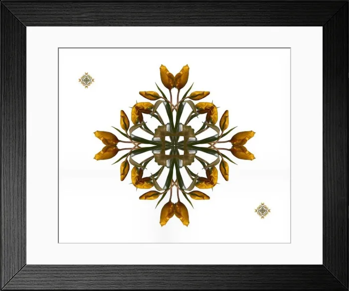 Framed Print : Fine art floral decorative Framed Print : Fine art floral decorative