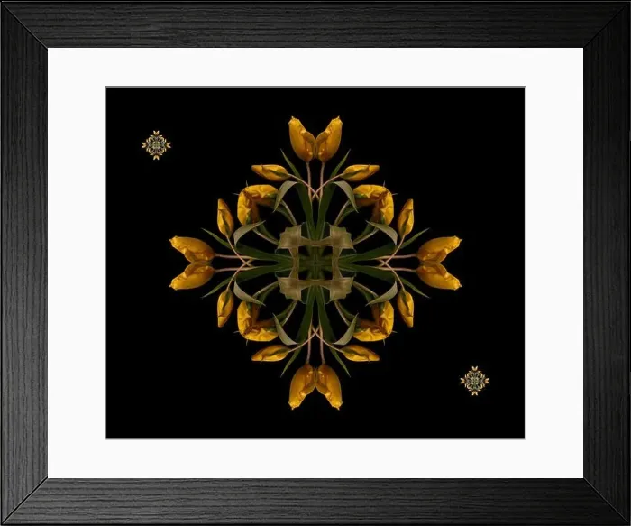 Framed Print : Fine art floral decorative Framed Print : Fine art floral decorative